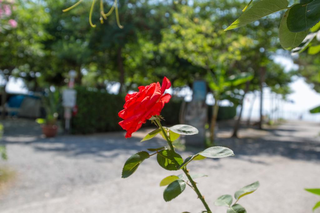 拉弗斯塔斯库拉露营地 SantʼAlessio Siculo 外观 照片
